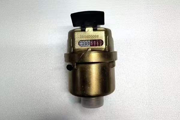 容積式水表實(shí)拍圖片1